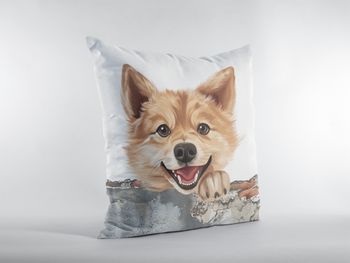 P-8772-finnish spitz